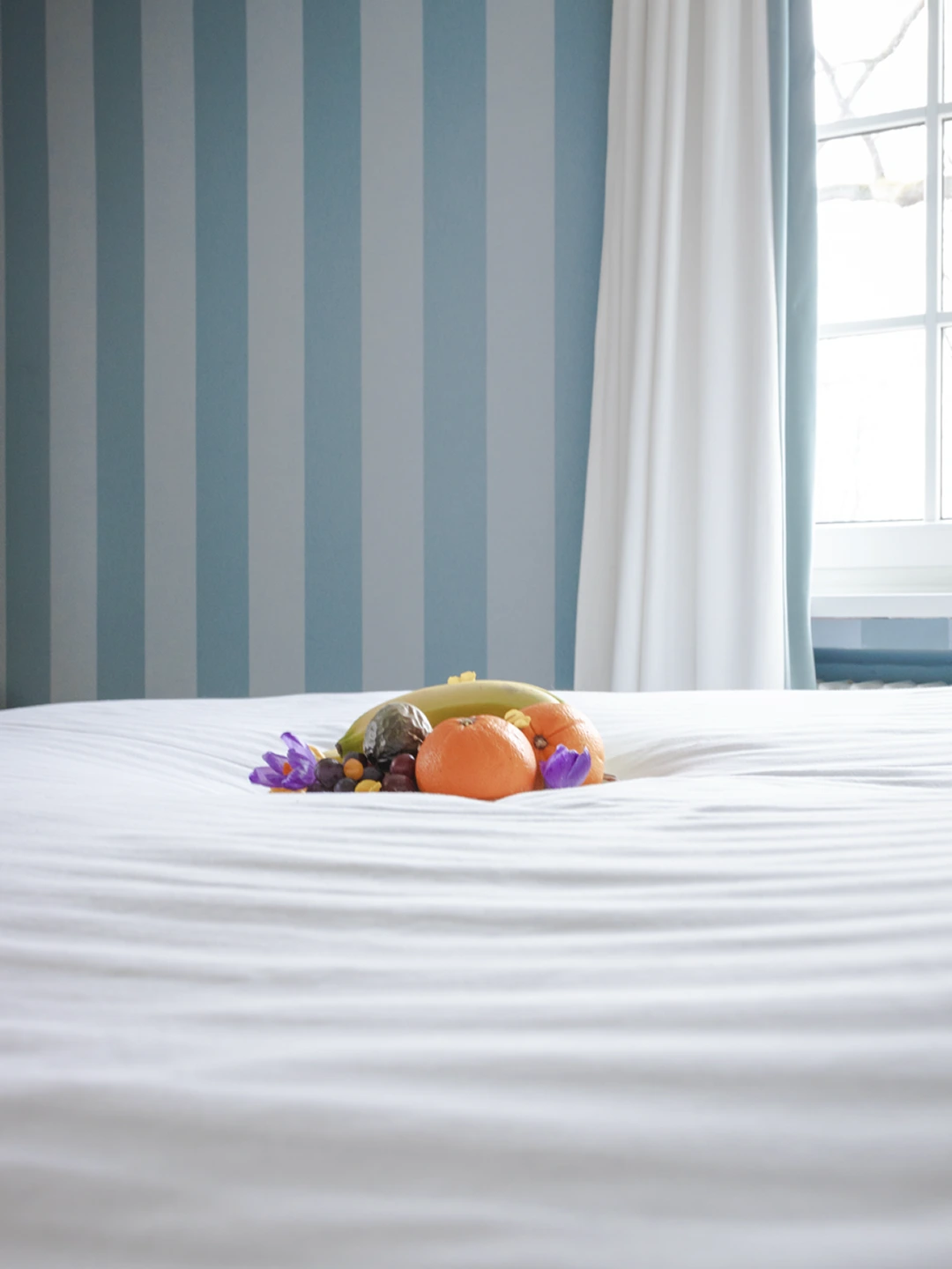 villamonceau chambre gustavienne 3